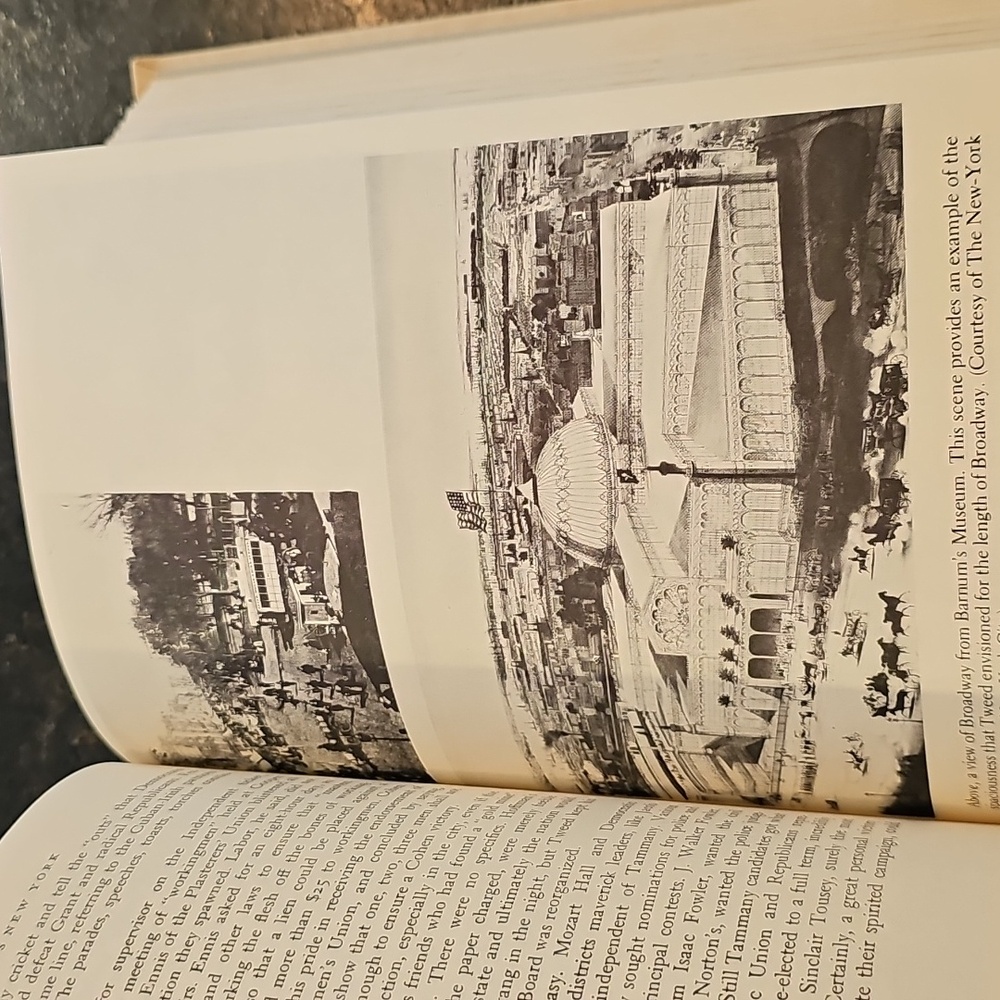 Vintage 1977 "Tweed's New York: Another Look" by Leo Hershkowitz - Picture 11 of 14
